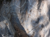 rrente Quarantore-20110911 012